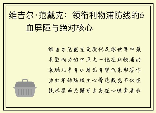 维吉尔·范戴克：领衔利物浦防线的铁血屏障与绝对核心